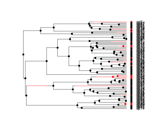 plot of chunk unnamed-chunk-10