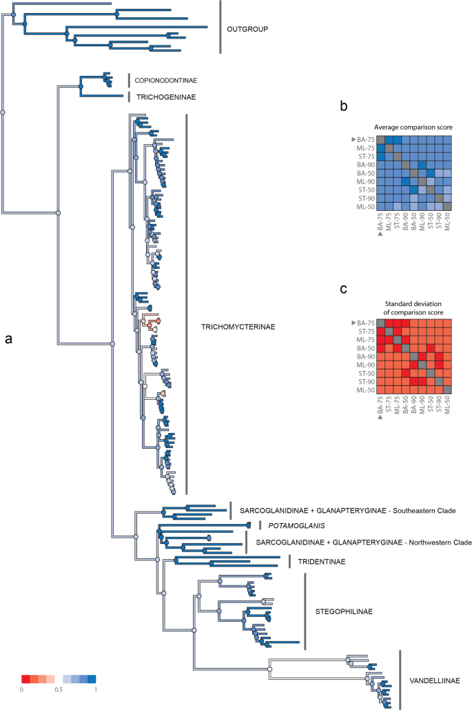 Phylogenomics of trichomycterid catfishes
