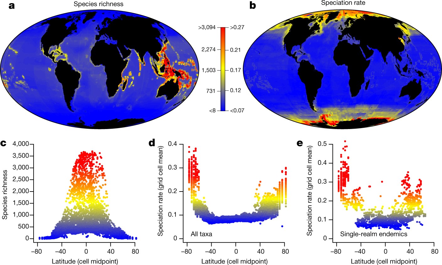 Inverse latitudinal gradient in speciation rate